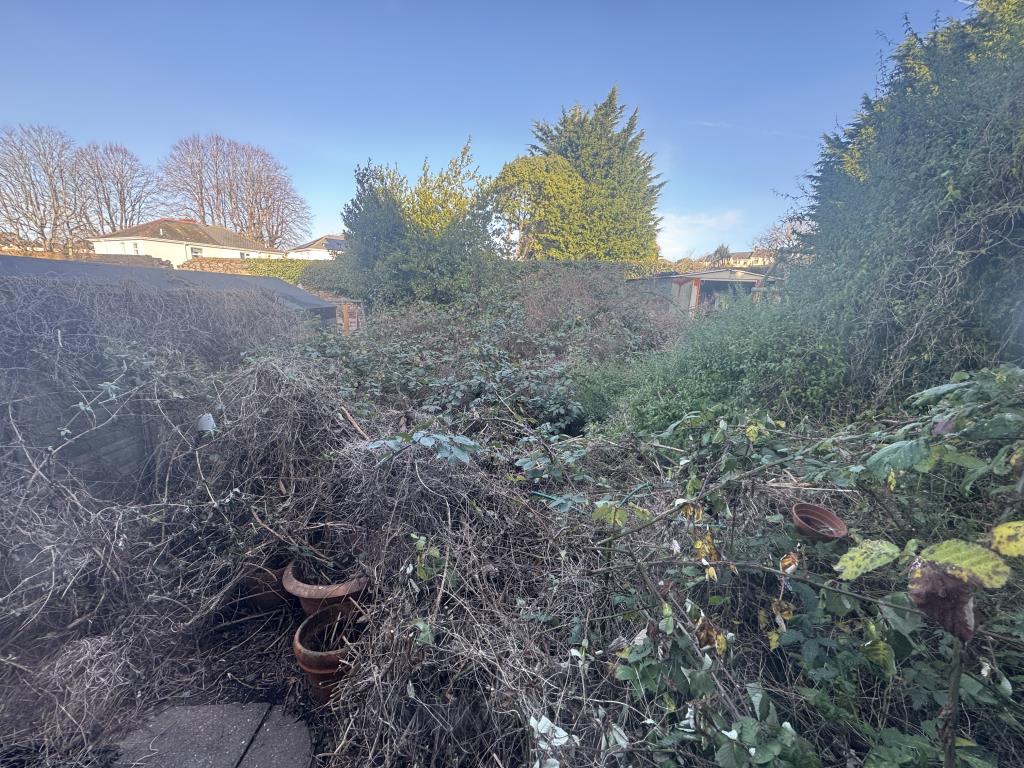 Lot: 165 - DETACHED HOUSE FOR IMPROVEMENT - Rear garden